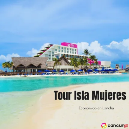 Tip Transporte